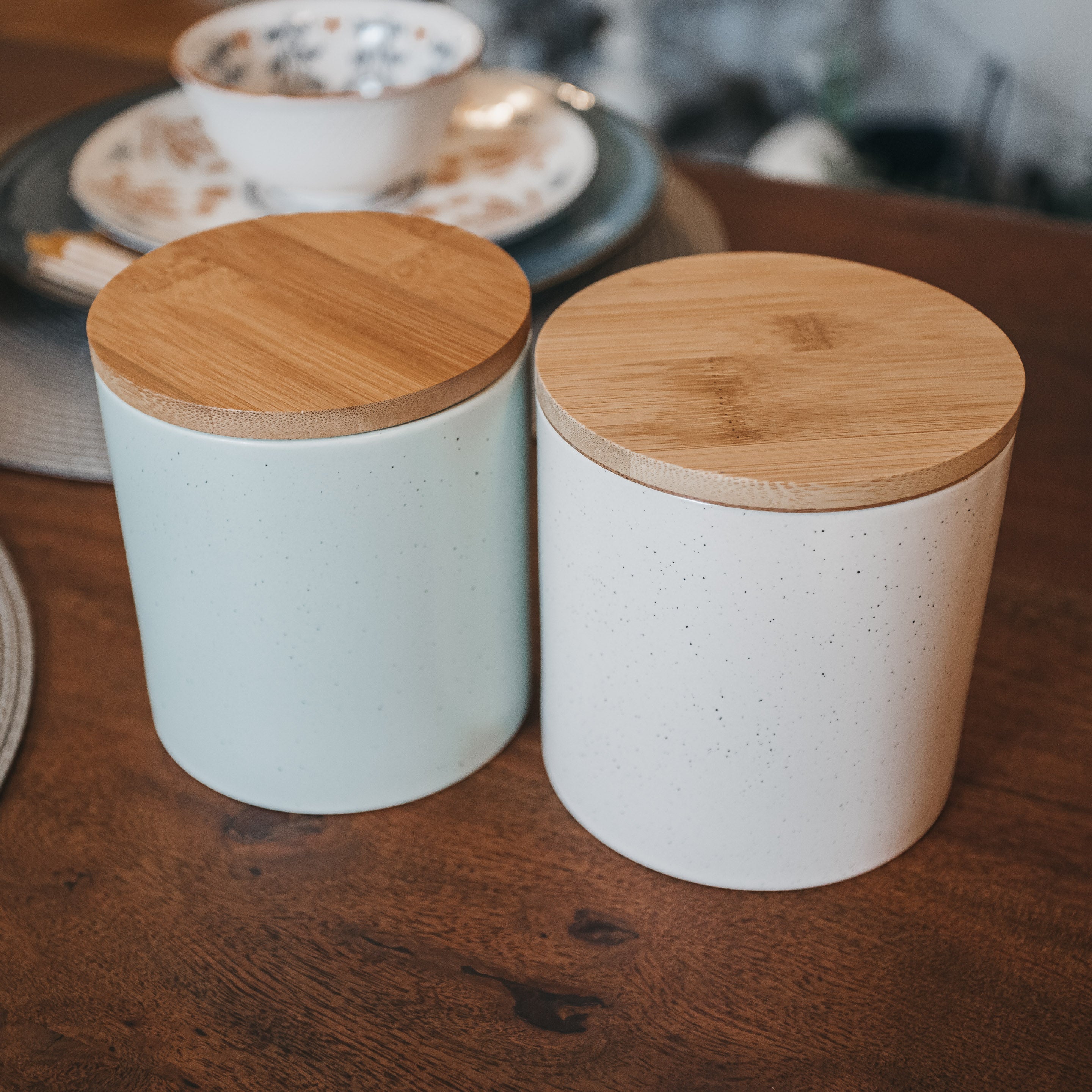Terrain Storage Canister