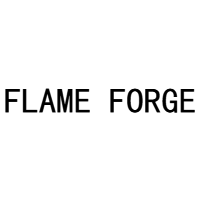 FLAME FORGE LTD